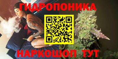 прущие грибы Малгобек