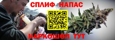 прущие грибы Малгобек