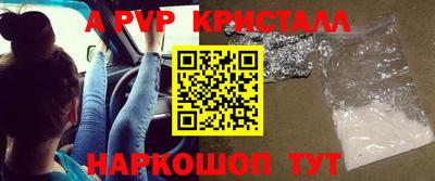 прущие грибы Малгобек