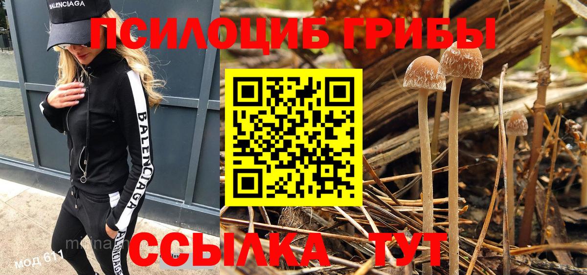 Псилоцибиновые грибы Psilocybine cubensis  Вход с VPN  Ленинск-Кузнецкий 
